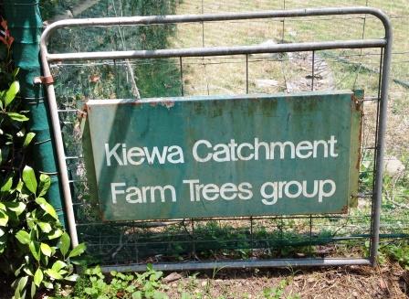 KCLG Nursery - In the beginning...